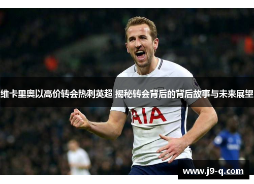 维卡里奥以高价转会热刺英超 揭秘转会背后的背后故事与未来展望